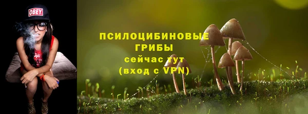 прущие крисы Алексин