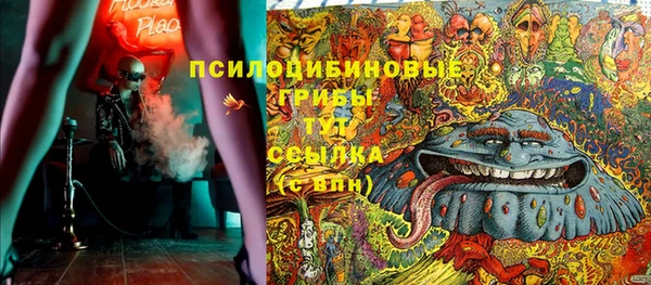 прущие крисы Алексин